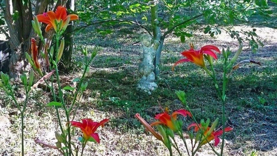 Willa Nyugalomsziget Kotcse Zewnętrze zdjęcie